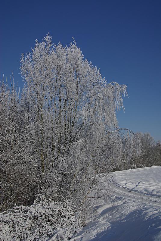 IMGP4885.JPG