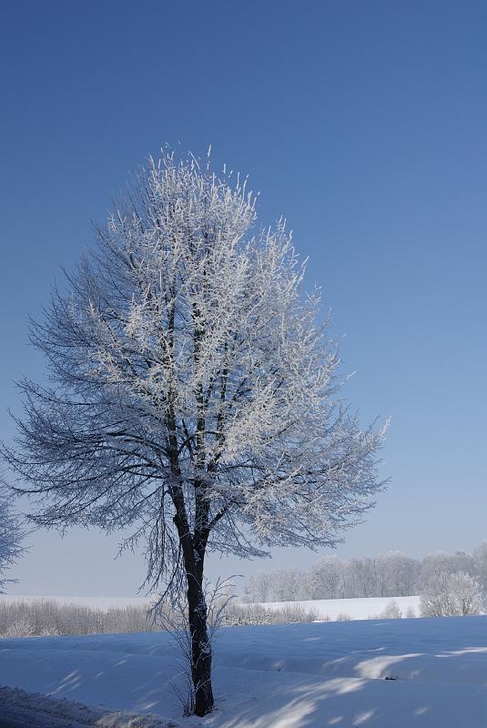 IMGP4964.JPG