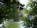 Schwanensee