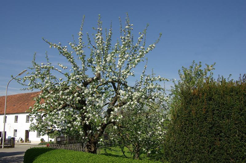 IMGP2684.JPG