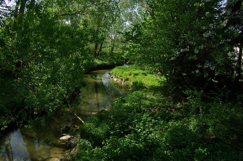 IMGP2685.JPG