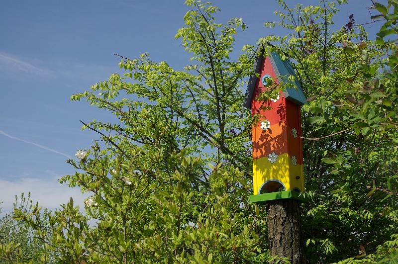 IMGP2736.JPG