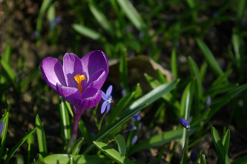 IMGP0139.JPG
