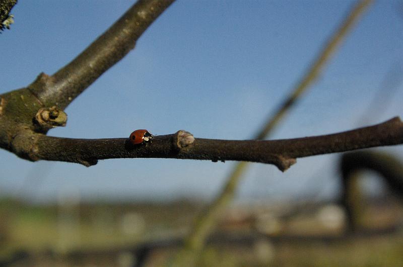 IMGP0221.JPG