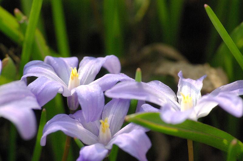 IMGP0362.JPG