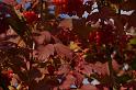047
