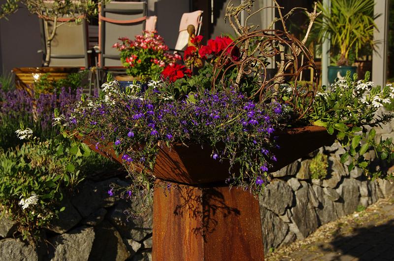 IMGP1462.JPG