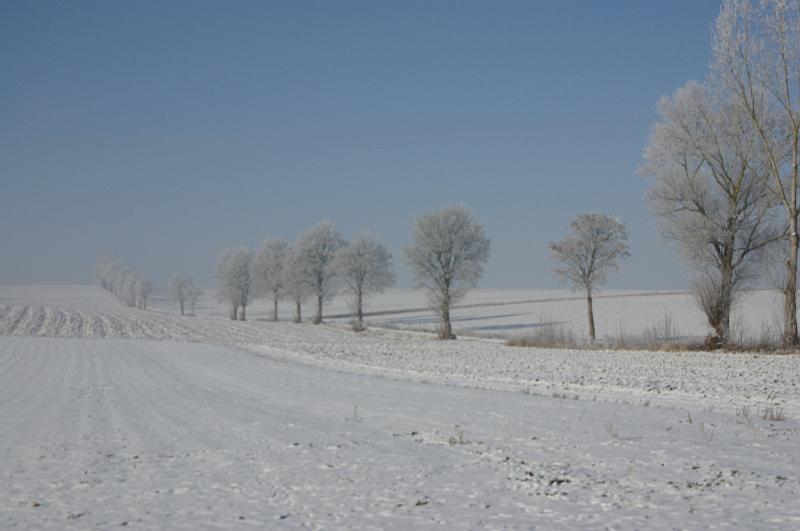 IMGP8147.JPG