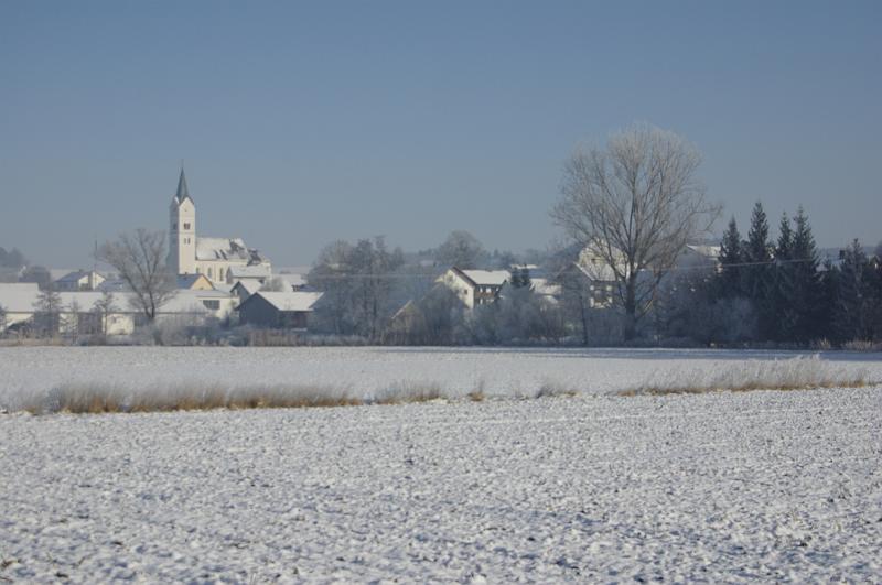 IMGP8148.JPG